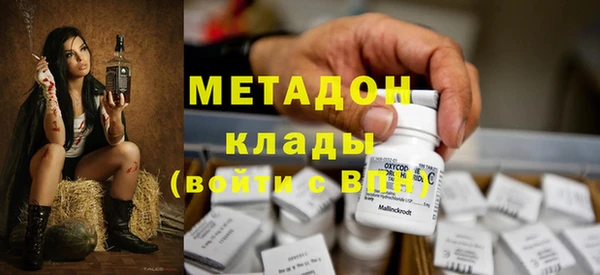 прущие грибы Нязепетровск