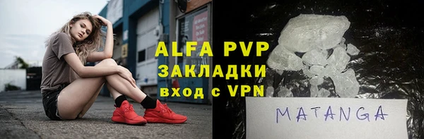 прущие грибы Нязепетровск