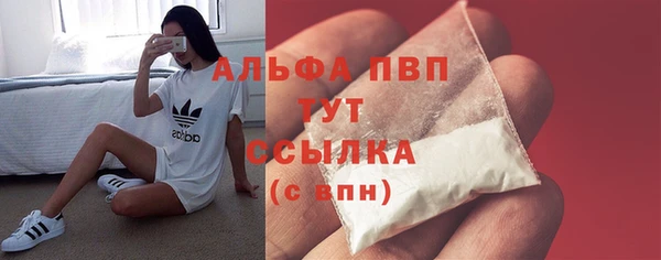 прущие грибы Нязепетровск