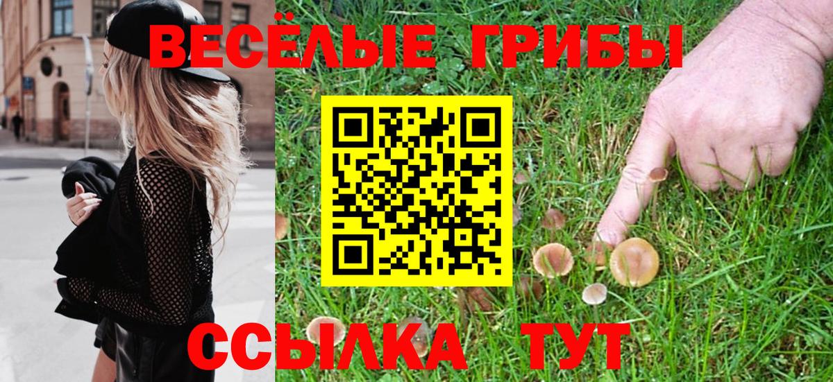 Псилоцибиновые грибы прущие грибы Лыткарино