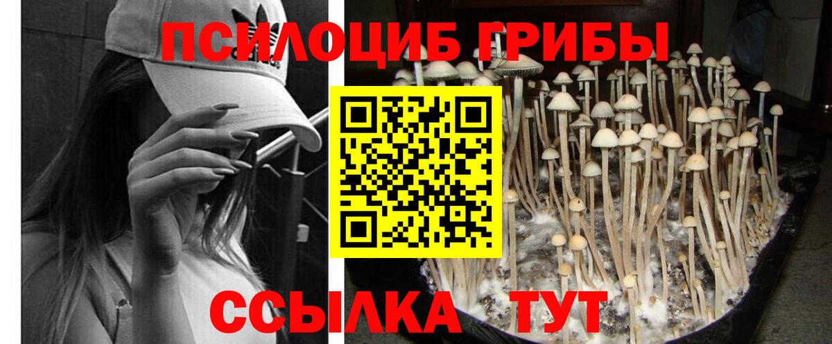 Псилоцибиновые грибы прущие грибы  Псилоцибиновые грибы мицелий  Лыткарино 